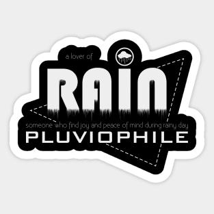 Rain Sticker